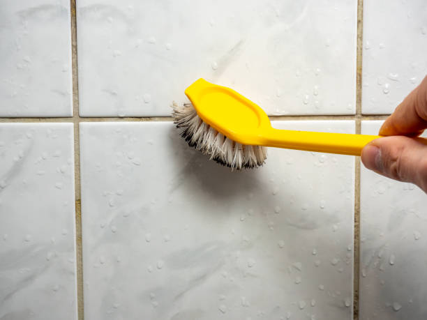 Best Mold Cleaning Services  in West Linn, OR