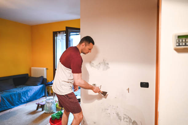 Best Same-Day Mold Removal  in West Linn, OR
